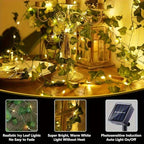 Solar Ivy Fairy Lights